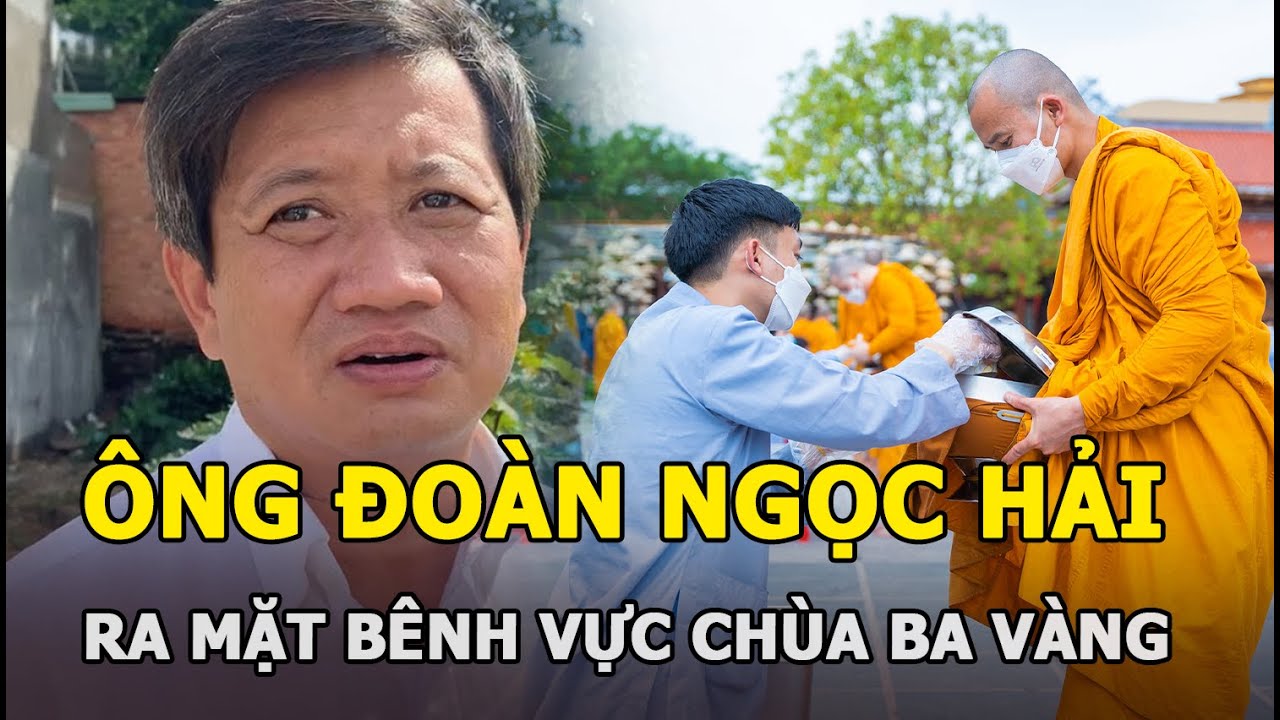 Ông Đoàn Ngọc Hải ra mặt bênh vực chùa Ba Vàng, khẳng... - youtube