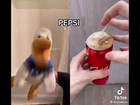 DonaldDucc Screaming Video