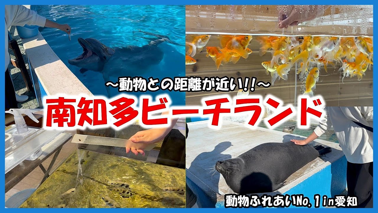 Minami-Chita Beach Land] Animal-Touch-No.1~ Close to the animals