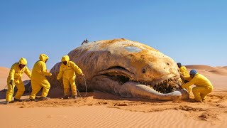 The New Terrifying Discovery In Saudi Arabia That Scares Scientists!