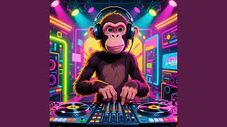 Drop Bangkong Ngebul