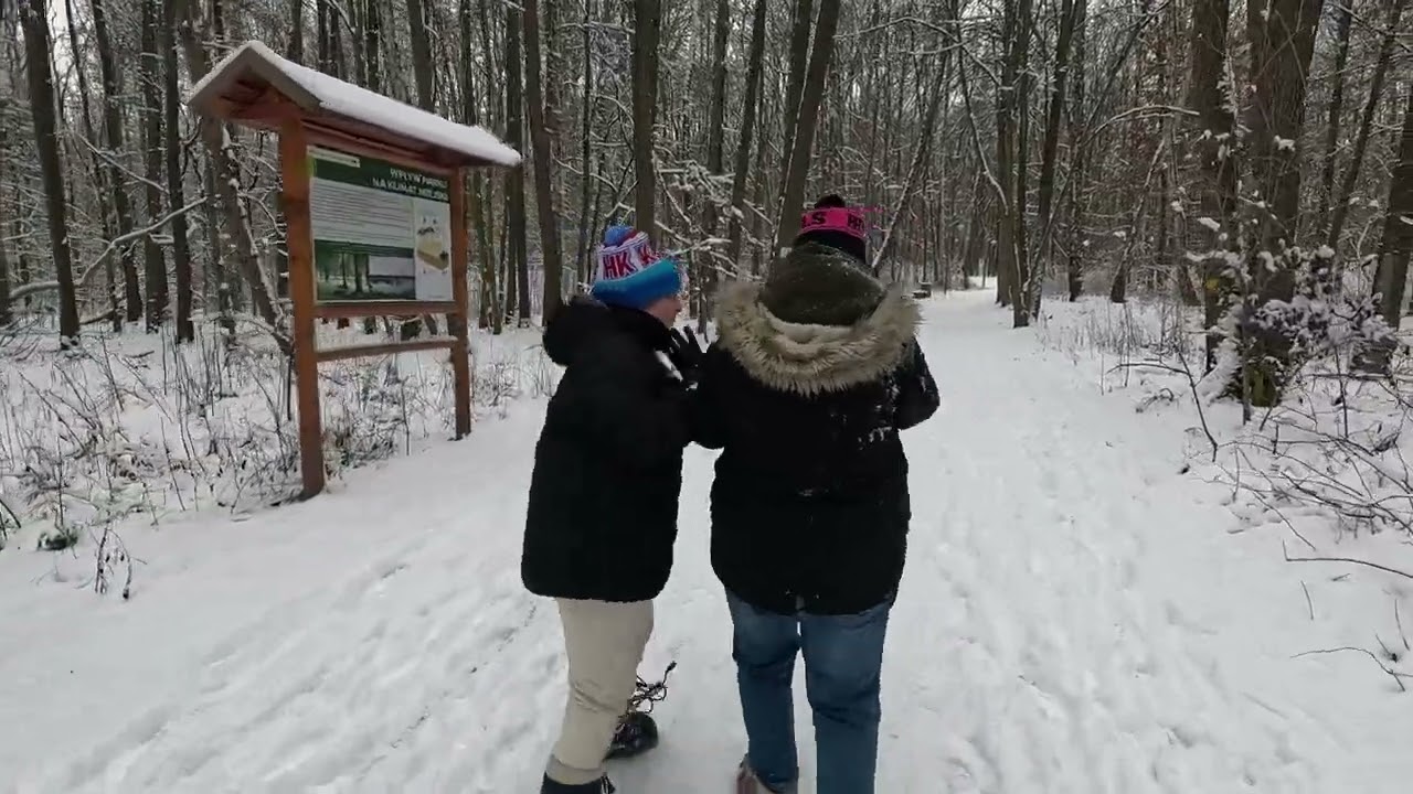 Park 1000 lecia SOSNOWIEC | 4K | GoPro