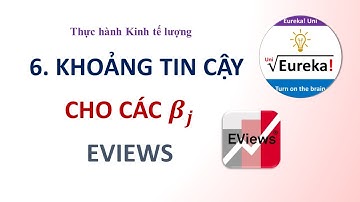 EViews 6. Tìm khoảng tin cậy cho các hệ số hồi quy trong Eviews - Hướng dẫn EViews Kinh tế lượng