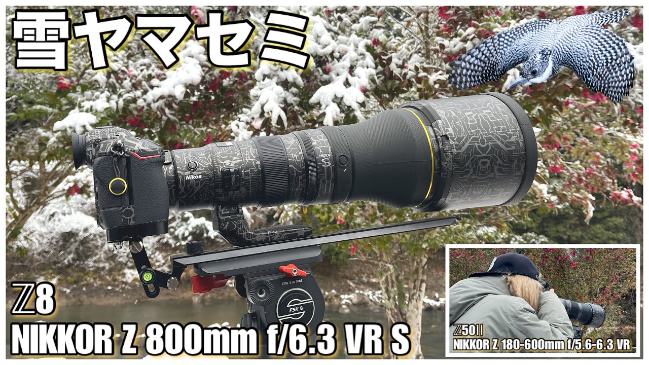 野鳥撮影】雪ヤマセミ！娘と一緒にリベンジ！- Z8 × Z 800mm f/6.3 VR