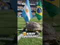 Turtle Predicts the World Cup 2026 Winner!#worldcup2026 #viral #brazil #argentina #france #germany