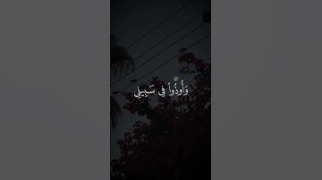 تلاوه من سورة آل عمران|بصوت الشيخ محمد المنشاوي🎧♥️#trending #quran #قران_كريم #راحة_نفسية #قرآن