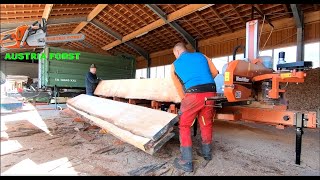 Dicke Eichen und Lärchen das Maximum mit der Wood Mizer LT 20 Mobilen Bandsäge