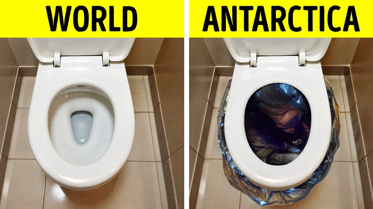 ⁣Strange Things You’ll Never Believe Are Banned in Antarctica