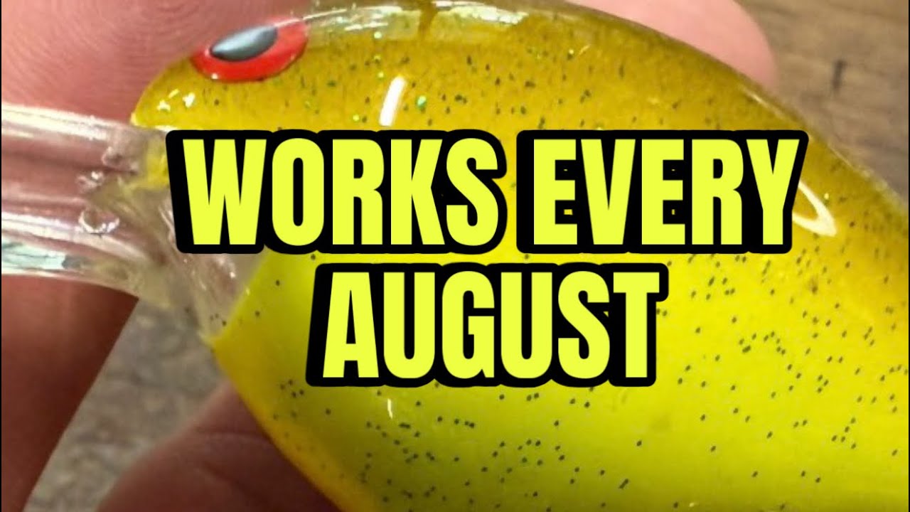 The Unheard Of Technique That Hammers August Bass…