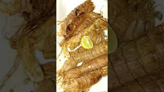 الجمبرى مقلى اسكندراني shrimp #Shorts