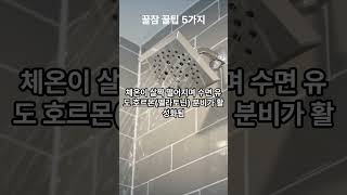유용한 생활상식과 건강한 습관-꿀잠자기