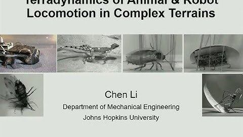 Terradynamics of animal and robot locomotion in complex terrains