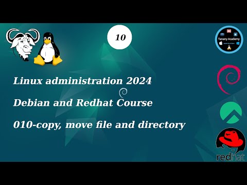 010-copy, move file and directory - Linux Course 2024