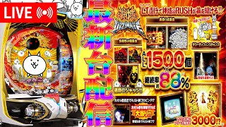 ノッチ配信者パチンコライブの配信のサムネイル画像