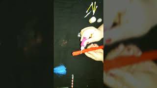 Decorative Bansuri ( flute)..!!!