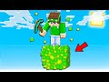 HO FINITO MINECRAFT SOPRA UN BLOCCO DI ESPERIENZA!