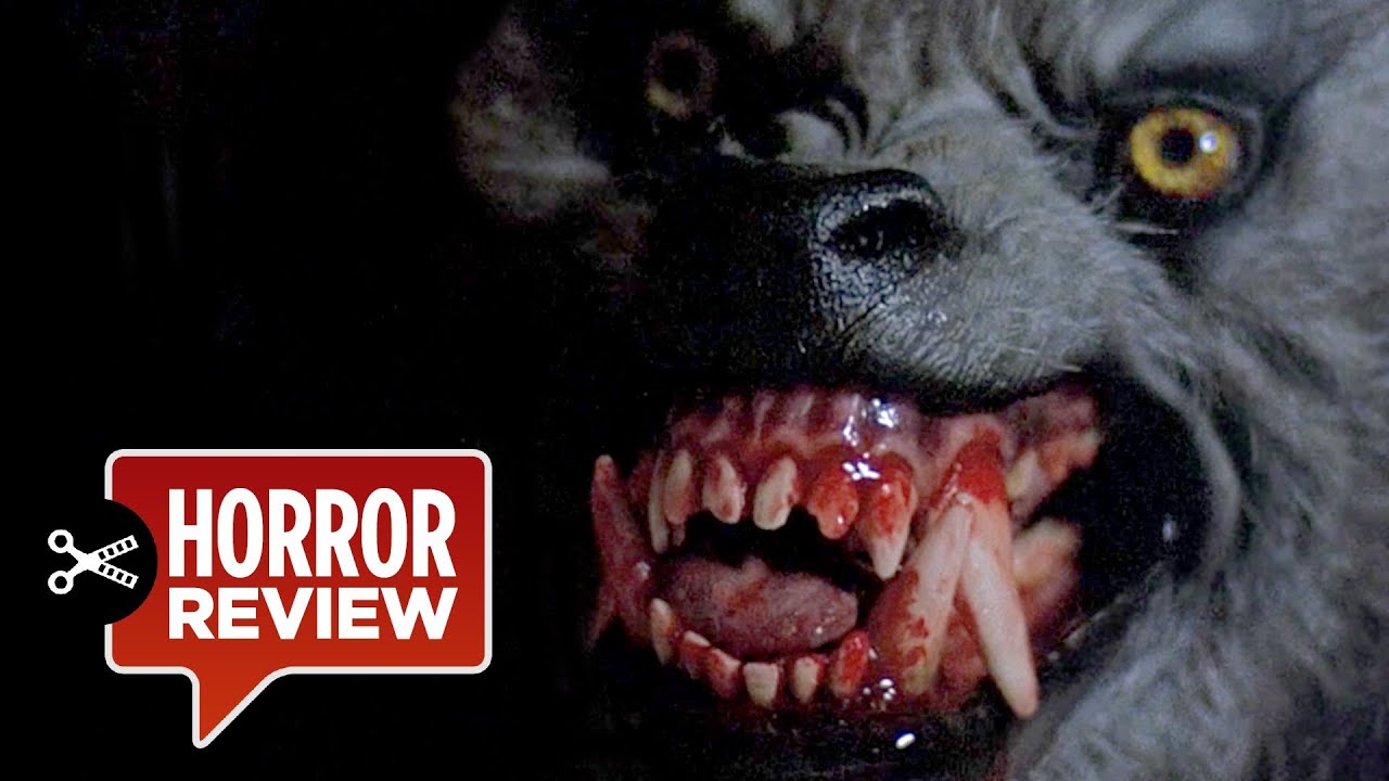 Horror Movie Review: An American Werewolf in London (1981) - GAMES,  BRRRAAAINS & A HEAD-BANGING LIFE