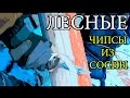 Дикая кухня - КАК ПРИГОТОВИТЬ ЧИПСЫ ИЗ СОСНЫ - How To Make Thin and Crispy Chips From Pine