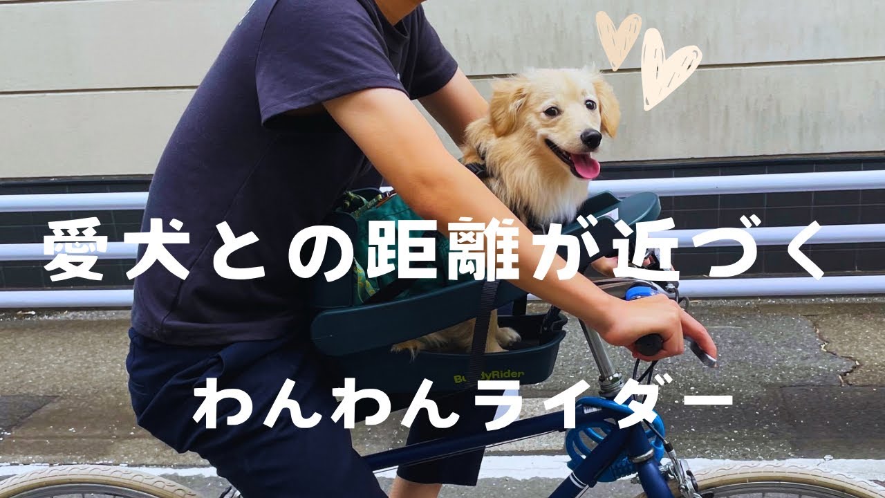 超インドアなパパをアウトドアに変えた物【Buddy Rider】 - YouTube