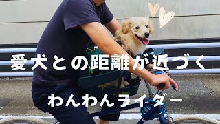 超インドアなパパをアウトドアに変えた物【Buddy Rider】 - YouTube