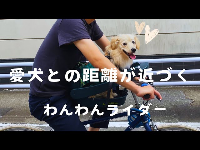 超インドアなパパをアウトドアに変えた物【Buddy Rider】 - YouTube