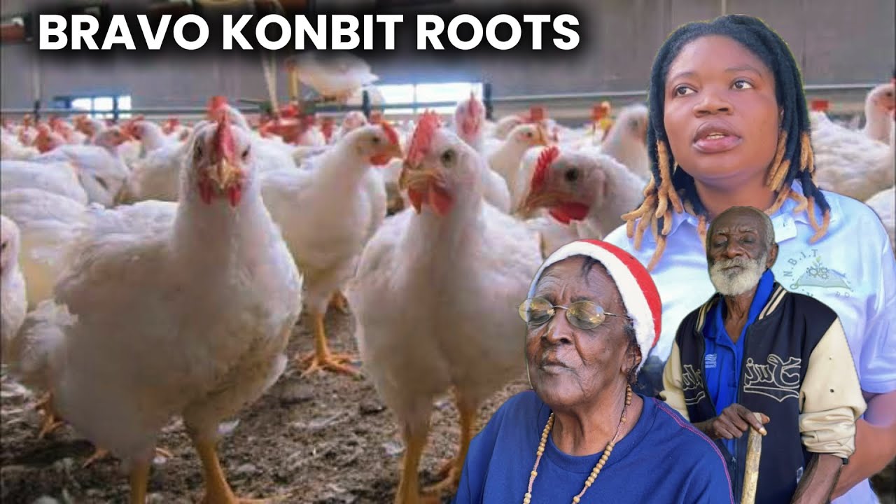 WOYYYY JODIA KONBIT ROOTS BAY ANPIL POUL NAN BON SAMARITEN AN POU FÈT NWÈL LA BRAVO WAP KONTAN WÈ SA