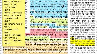 דף היומי סנהדרין מ״ח 48 שבת י״א  אלול תשע״ז ״כי תצא ״