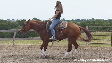 Inwhizable Image - riding in outdoor arena #1 - ValleyViewRanch.net