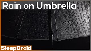 ► Rain on an Umbrella at Night ~ Plastic Umbrella Rain Sounds for Sleeping (No Thunder) Lluvia