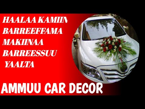 Part 2 Ammu Car Decor Faaya Maakiinaa Fi Barreeffama Makiinaa2022