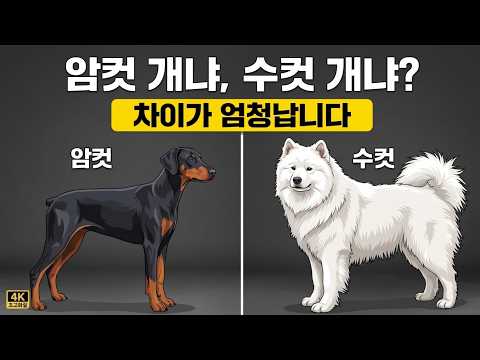 암컷 개 vs 수컷 개: 아무도 알려주지 않는 15가지 진짜 차이점!