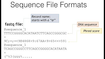How to download fastq files from the NCBI (SRA) and ENA - Tutorials 03