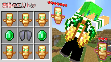 マイクラ えりとら