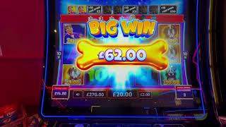 CHANCES UPON CHANCES ON THE FLEX BUT CAN I WIN?? GOLD FISHY FREESPINS,ANUBIS GOLD,SUPER BONUS JOKER🤡 screenshot 5
