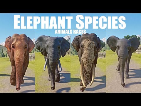 Elephant Species Animals Races in Planet Zoo in 4K UHD included Sri Lankan Elephant etc