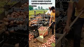 Desi Jugard onion Harvest machine
