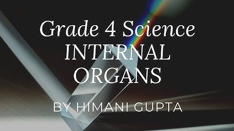 Grade 4| Internal Organs| Part 1| Explained by Ms Himani Gupta