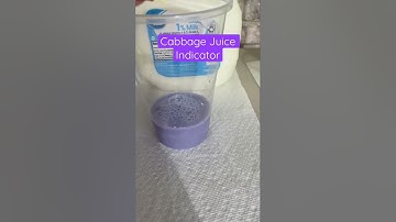 Cabbage Juice Indicator of Milk 🥛pH | Acids and Bases