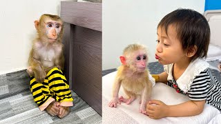 Monkey Kaka was sad when saw that Diem only cared about Monkey Mit by Monkey KaKa 76,639 views 2 weeks ago 9 minutes, 11 seconds