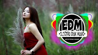 Electro Disk   Dj Beauty Symphony Funky Night 2018