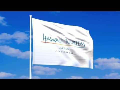 flag-of-hawaii-tourism