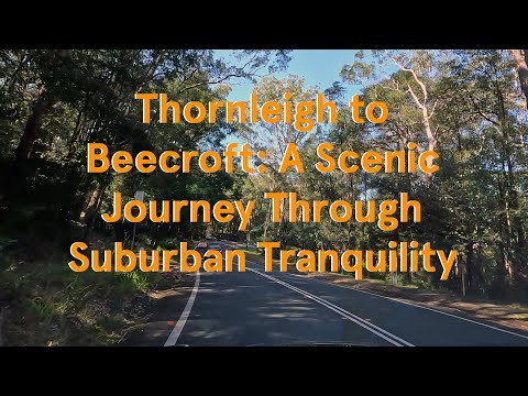 Thornleigh to Beecroft: A Scenic Journey Through Suburban Tranquility