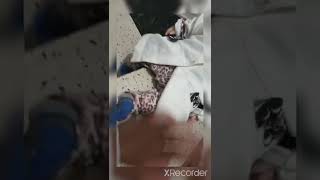 ROTINA DA ALICE PARTE 1 PRIMEIRO VIDE0