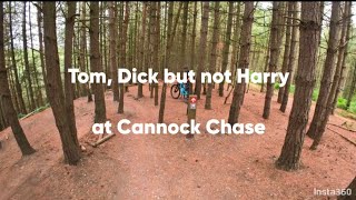 Tom, Dick, but not Harry (a little bit of progress on the red-graded Monkey Trail at Cannock Chase)