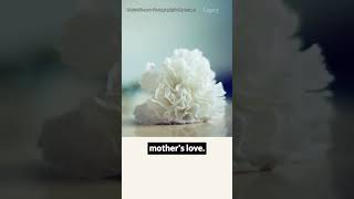 The Mother of Mother’s Day: How Anna Jarvis’s Love Created a Global Holiday