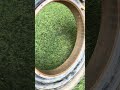 Rusty Electric Motorcycle Motor
