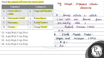 Match the columns and select the correct option \begin{tabular}{|c|l|c|l|} \hline \multicolumn{2...