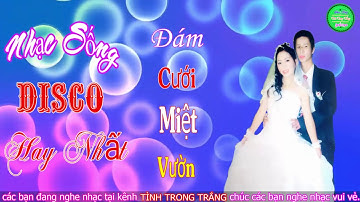 Nhạc Sống Đám Cưới Hay Nhất 2020 - Nhạc Đám Cưới Remix Bass Căng Sôi Động Vui Tươi Rạo Rực Ngày Cưới