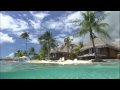Enya Wild Child Caribbean Blue HD 