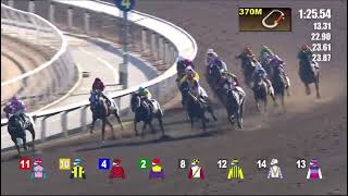 Hongkong Horse Racing at Shatin: December 1,2024(Sunday) Class 4 -AWT Race 6